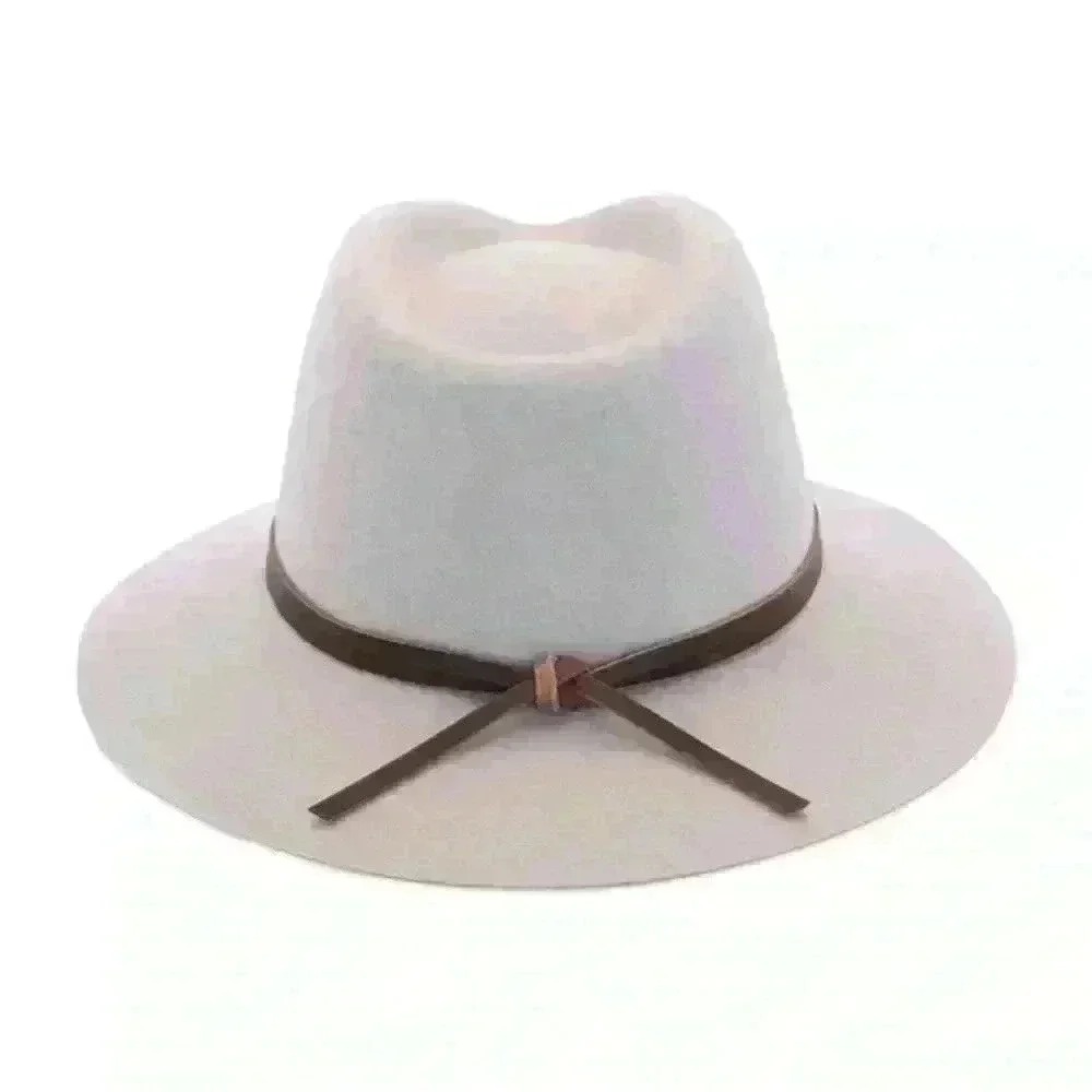 NWOT Morgan Taylor delanie wool fedura hat in rose